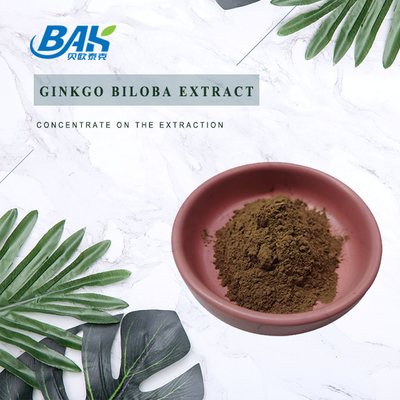CAS 90045-36-6 สารสกัดจากกินกโก้ บิลอบา ฟลาฟอนกลิโคไซด์ 24% เทอร์เปน ลาคตอรี่ 6%