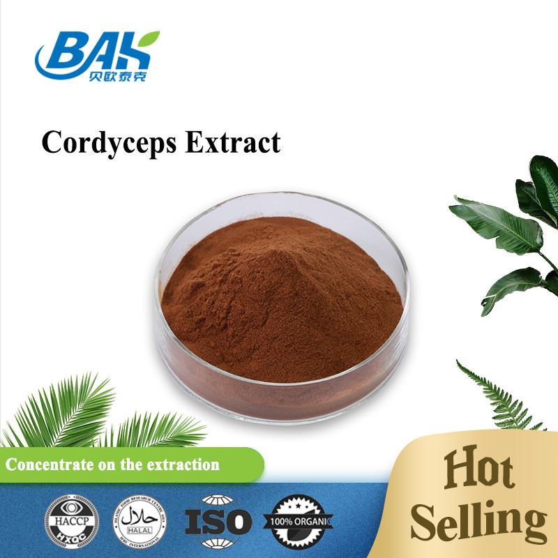 Cordycepin 5% 10% 20% อาหารเสริมสุขภาพบุรุษ Cordyceps Extract Brown Powder