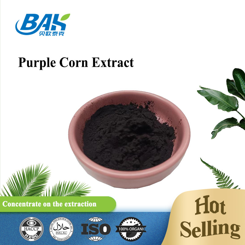 Anthocyanidins Purple Corn Extract ผงละเอียดสีม่วงแดง 5: 1 10:1 20:1